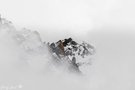 Zwischen Nebel und Stille