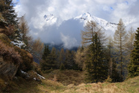 Kurzer Lichtblick