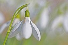 Frühlingserwachen-endlich!!!