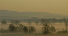 Nebel im Ried