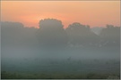 Frühaufsteher
