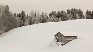 Monochrome Winterlandschaft