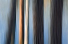 Waldwischer-Invasion 2
