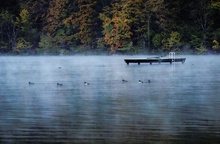 Früh morgens am See.........