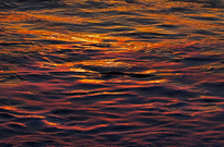 Goldwasser nach Sonnenuntergang