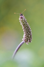 Gut versteckt
