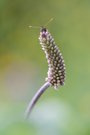 Gut versteckt