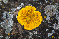 Farbklecks