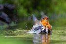 Badetag