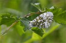 Mal ´ne Pause machen