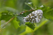 Mal ´ne Pause machen