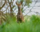 Alles im Blick