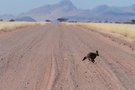 typisch Namibia