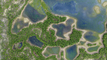 Impassable swamps