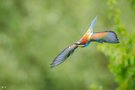Flugakrobaten