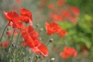 Impression in Rot ....