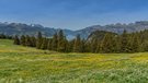 Blick zum Walensee