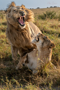 Uaaaaaaaah!!
