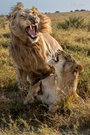 Uaaaaaaaah!!