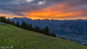 Morgenstimmung