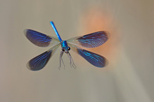 im Landeanflug