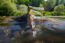 Dem Wasser entstiegen ...