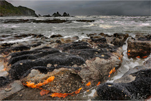 Motukiekie Beach