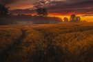 Morgens in Brandenburg