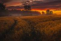 Morgens in Brandenburg