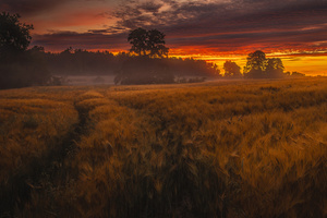 Morgens in Brandenburg