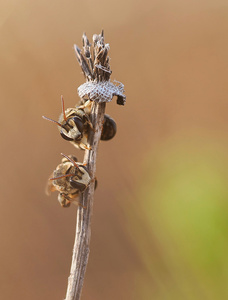 Schlafplatz der Kleinsten