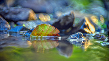 Wasser