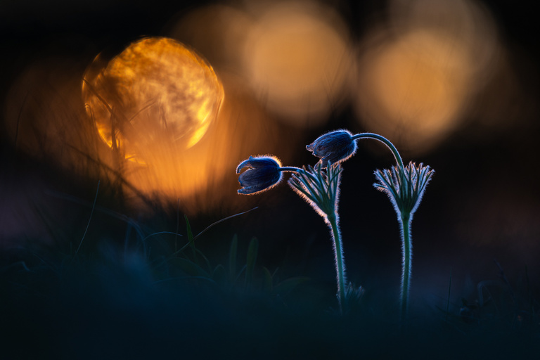 Letztes Licht