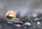 nach dem Regen