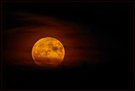 Der Erdbeermond vom 29.6.26