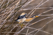 Abflug