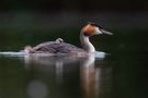 Mama - ist - die - Beste