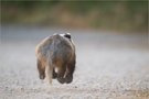 "Huch, da ist Jemand!"