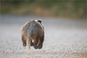 "Huch, da ist Jemand!"