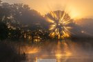 Sonnenaufgang am Teich