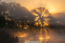 Sonnenaufgang am Teich