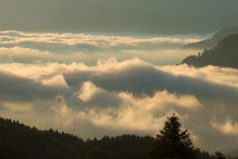 Der Zauber des Morgenlichts