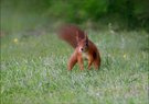 *wer bist denn du....?*