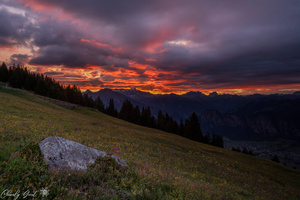 Als ich auf den Sonnenaufgang wartete