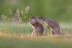 Hmmm riecht lecker, kann ich auch mal?
