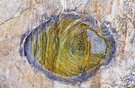 Das magische Auge der Erkenntnis, .... oder so.