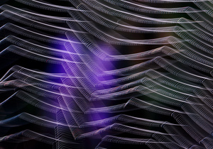 Spider-Web-Art