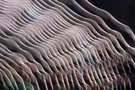 Spider-Waves