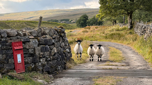 Greetings from Yorkshire Dales