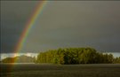 Regen in der schönsten Form